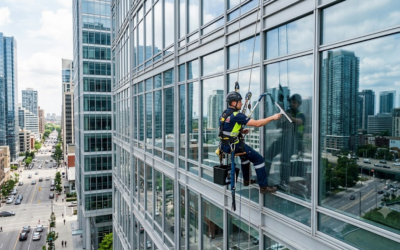 Why Do Commercial Buildings Need Professional Window Cleaning Services?